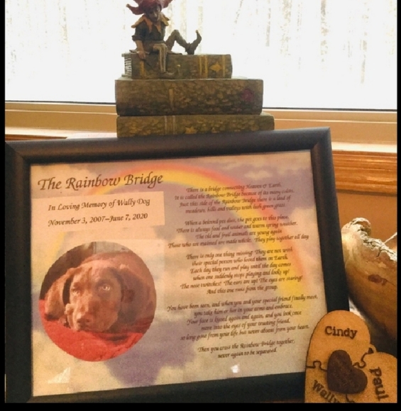 ⚜️ Vtg RubberMaid Spice Rack Rotating,Orig Party Plan gold - Picture 5 of 14